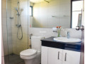luxury-apartment-for-rent-at-colombo-05-small-7