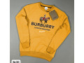 yellow-colour-long-sleeves-t-shirt-for-men-small-1