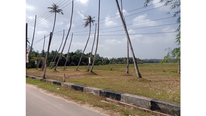 land-for-sale-in-kotawila-kamburugamuwa-big-1