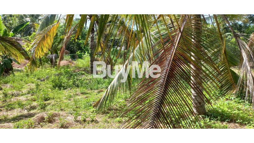 land-for-sale-in-walpola-big-2