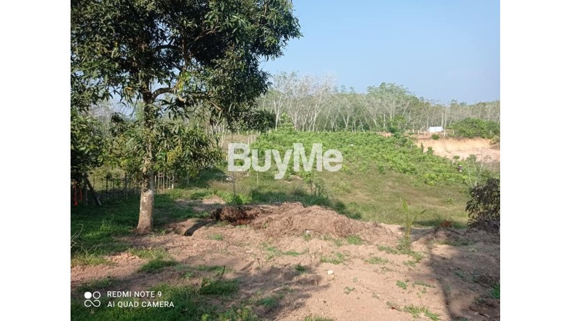 beautiful-and-peaceful-areas-land-for-sale-in-beruwala-big-5