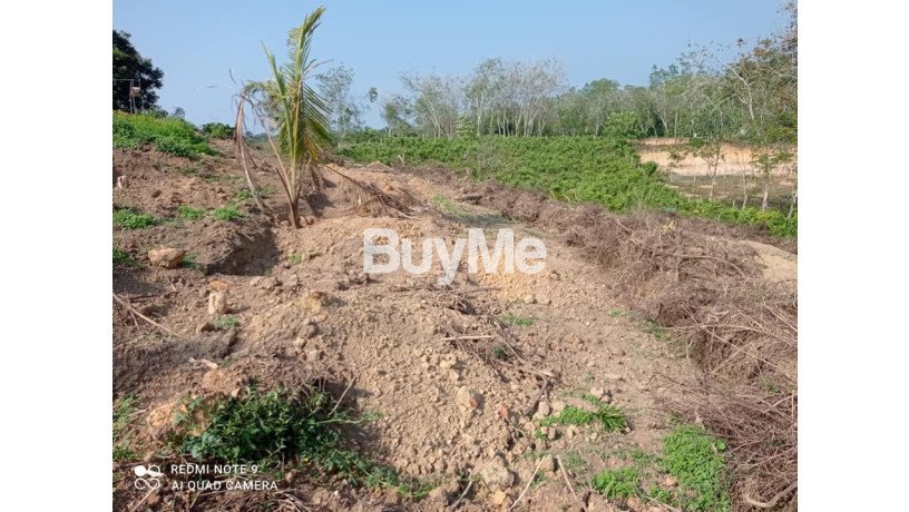 beautiful-and-peaceful-areas-land-for-sale-in-beruwala-big-4