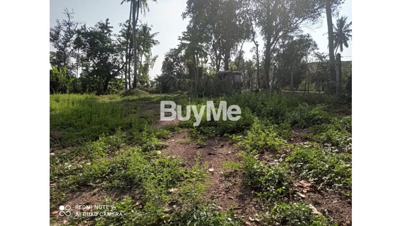 beautiful-and-peaceful-areas-land-for-sale-in-beruwala-big-2