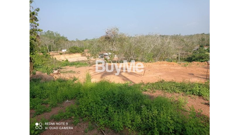 beautiful-and-peaceful-areas-land-for-sale-in-beruwala-big-0