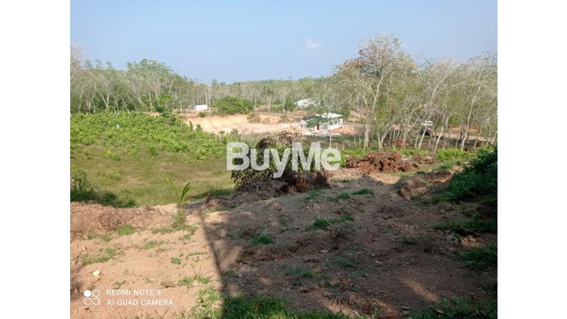 beautiful-and-peaceful-areas-land-for-sale-in-beruwala-big-3