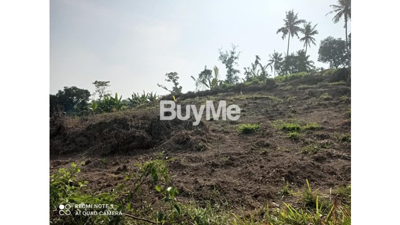 beautiful-and-peaceful-areas-land-for-sale-in-beruwala-big-6