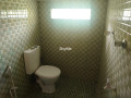 -small-3