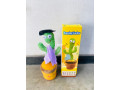 dancing-cactus-small-0
