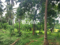 land-for-sale-in-dikwella-matara-small-1