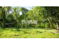 land-for-sale-in-dikwella-matara-small-0