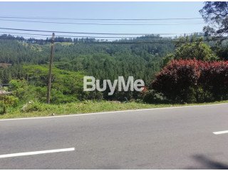 LAND FOR SALE IN GINIGATHHENA - ගිනිගත්හේන නගරයේ ඉඩමක් විකිණීමට