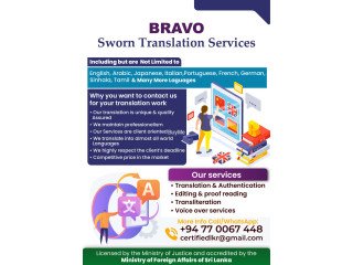 PROFESSIONAL TRANSLATION SERVICES