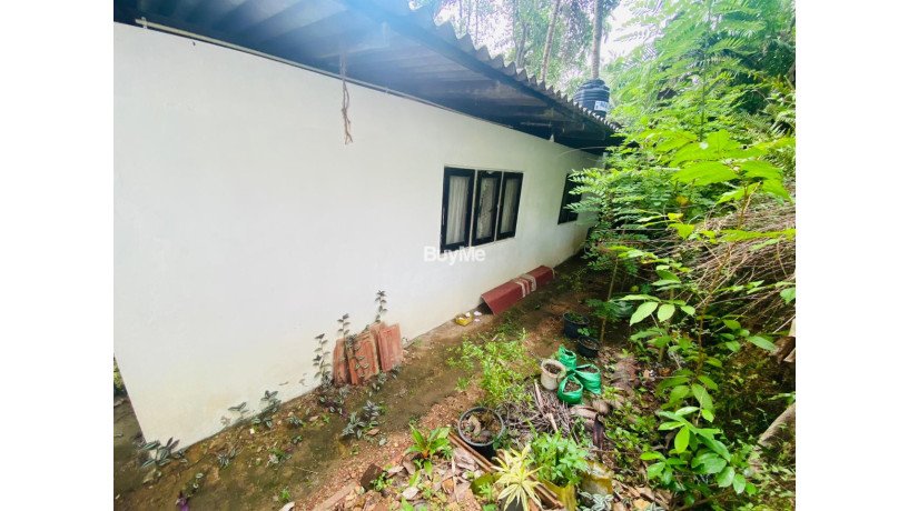 beautiful-land-with-house-and-commercial-building-for-sale-in-gampaha-radawana-big-2