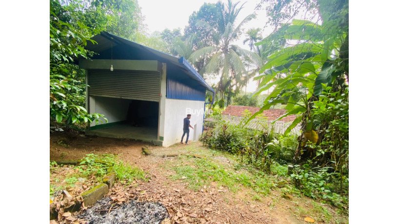 beautiful-land-with-house-and-commercial-building-for-sale-in-gampaha-radawana-big-6