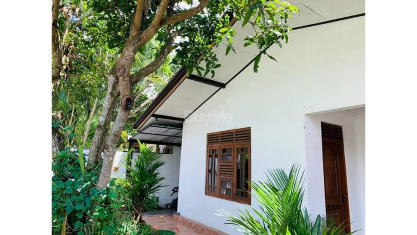 house-for-sale-in-wadduwa-big-0