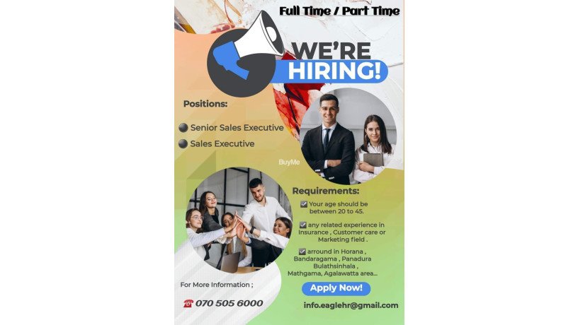 sales-executive-big-0
