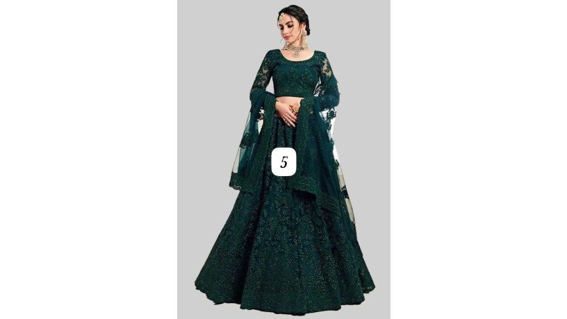 lehnga-net-with-embroidery-design-work-big-5