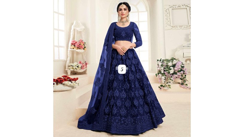 lehnga-net-with-embroidery-design-work-big-0