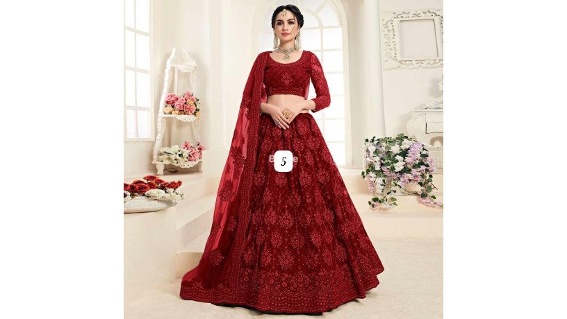lehnga-net-with-embroidery-design-work-big-1