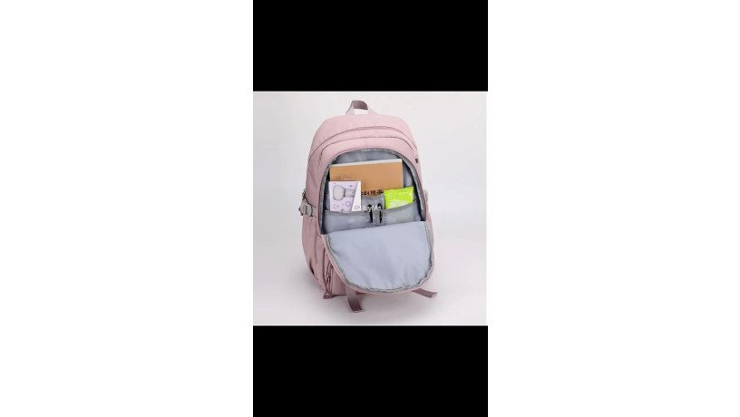 backpacks-in-pink-colour-big-2