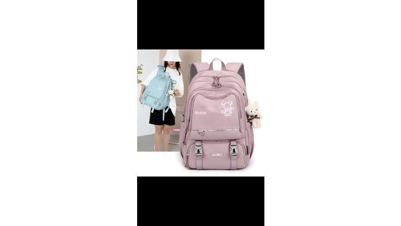 backpacks-in-pink-colour-big-1