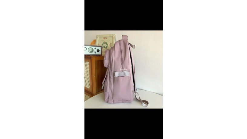 backpacks-in-pink-colour-big-3