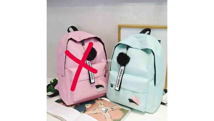 mint-green-koriyan-bag-big-2