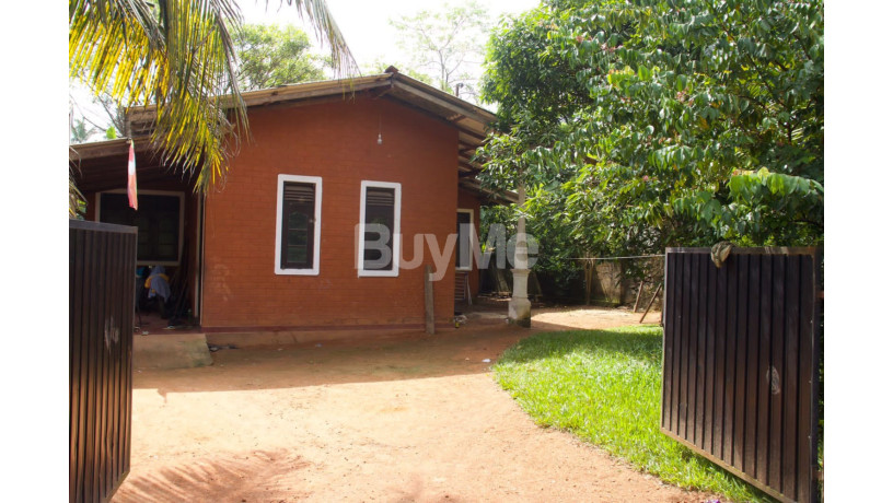house-for-rent-in-panadura-near-janapada-big-0