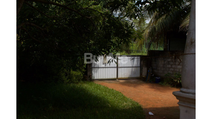 house-for-rent-in-panadura-near-janapada-big-5