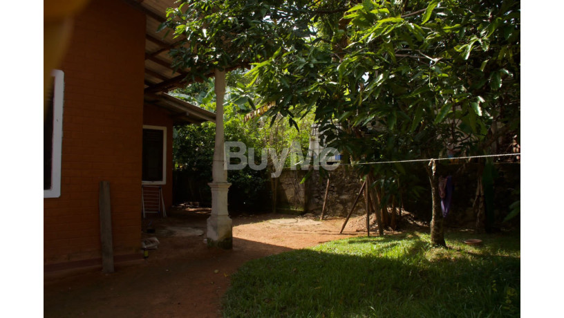house-for-rent-in-panadura-near-janapada-big-4