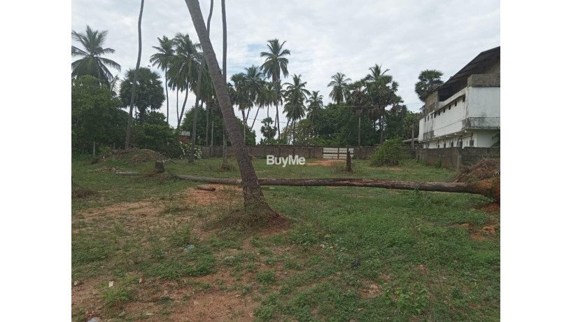 peaceful-land-for-sale-in-trincomalee-big-4