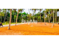 land-for-sale-golden-gate-seeduwa-savi-lands-small-1