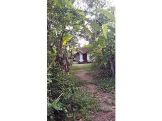 LAND WITH HOUSE FOR SALE IN GAMPAHA, AKARAVITA