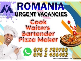 OVERSEAS HOTEL INDUSTY IN ROMANIA