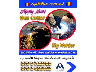 OVERSEAS JOBS FOR TIG WELDER IN ROMANIA