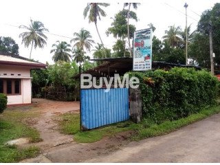 49 LAND WITH HOUSE FOR SALE IN BERUWALA HETTIMULLA