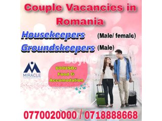 COUPLE VACANCIES IN ROMANIA (HOUSEKKEPERS / GROUNDSKEEPERS)