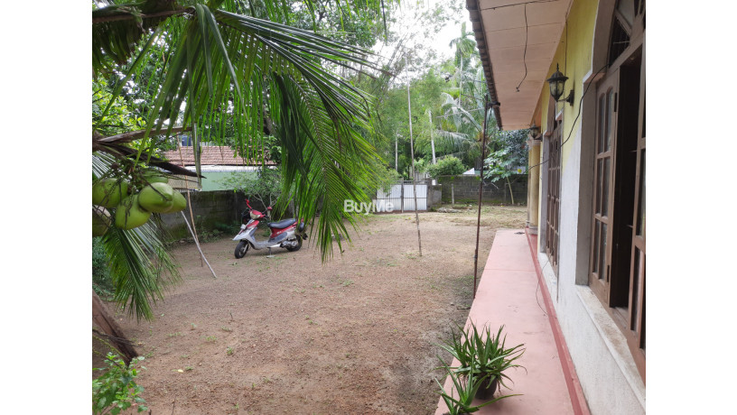 valuable-land-for-sale-in-pannipitiya-arawwala-big-1