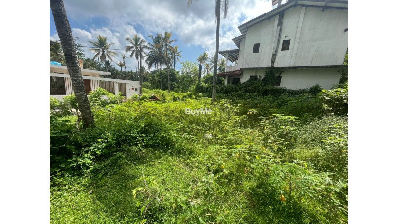 peaceful-beautiful-valuable-land-for-sale-in-homagama-pangoda-big-2