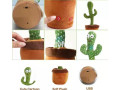 singing-dancing-cactus-toy-small-4