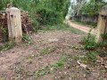 valuable-huge-land-for-sale-in-galgamuwa-with-all-facilities-small-4