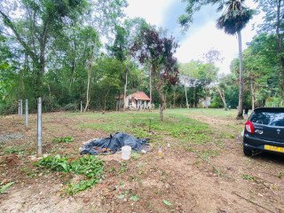 VALUABLE, HUGE LAND FOR SALE IN GALGAMUWA WITH ALL FACILITIES