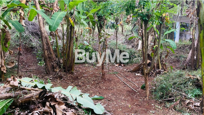 land-for-sale-big-1
