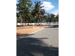 LAND FOR SALE - NEGOMBO - KOCHCHIKADE - QUEEN'S PARK SAVI LANDS