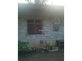 -small-7