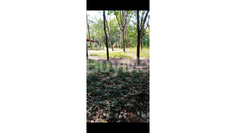 rubber-land-for-sale-near-to-gampaha-big-6