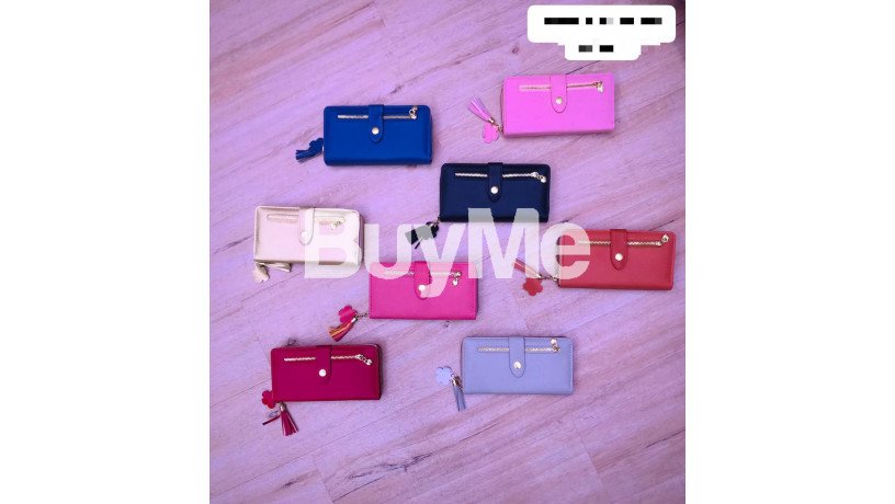 ladies-purse-big-1