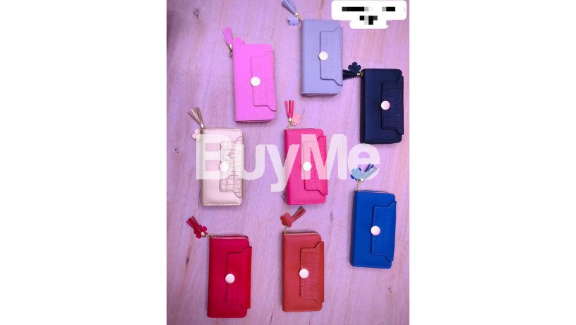 ladies-purse-big-7