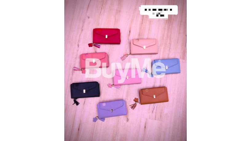 ladies-purse-big-2