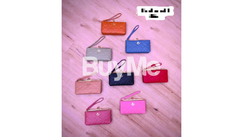 ladies-purse-big-0